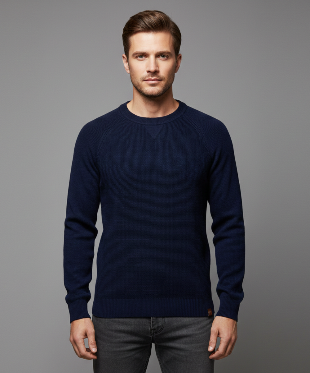 Avora Lyon | Pull homme uni tendance