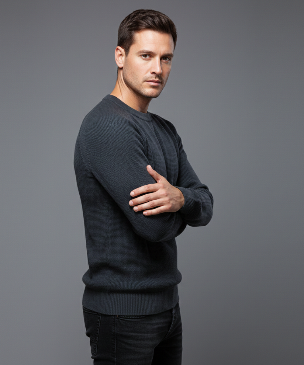 Avora Lyon | Pull homme uni tendance