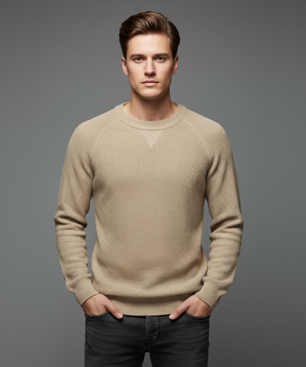 Avora Lyon | Pull homme uni tendance