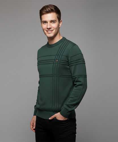 Avora Lyon | Pull homme à col rond