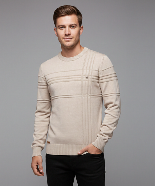 Avora Lyon | Pull homme à col rond