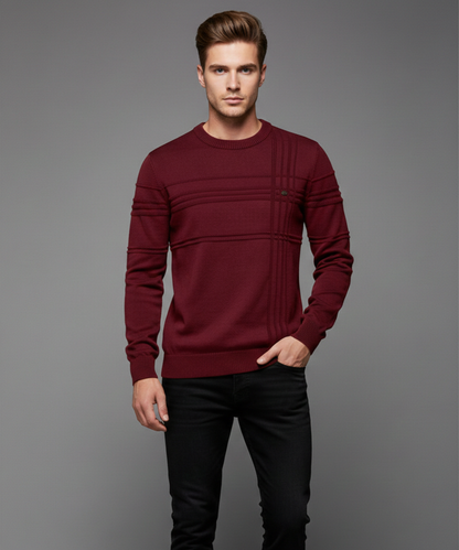 Avora Lyon | Pull homme à col rond