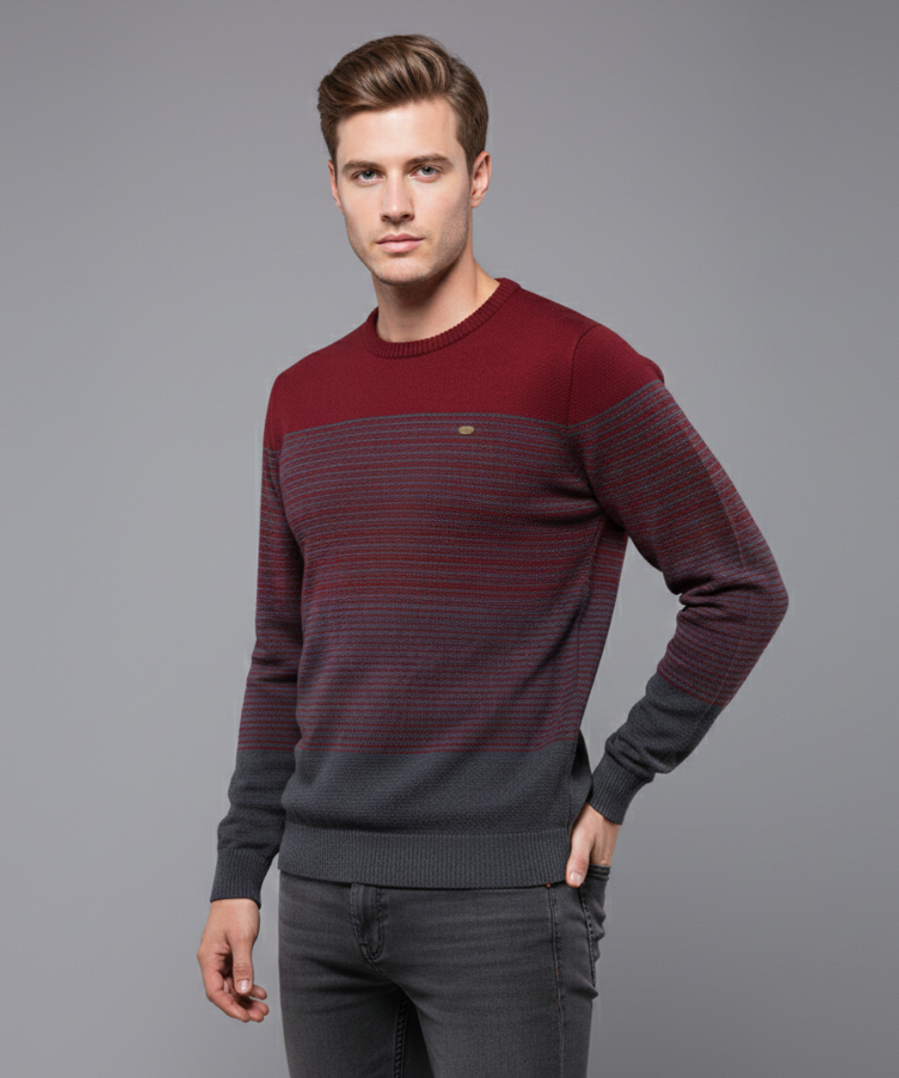 Avora Lyon | Pull moderne pour homme