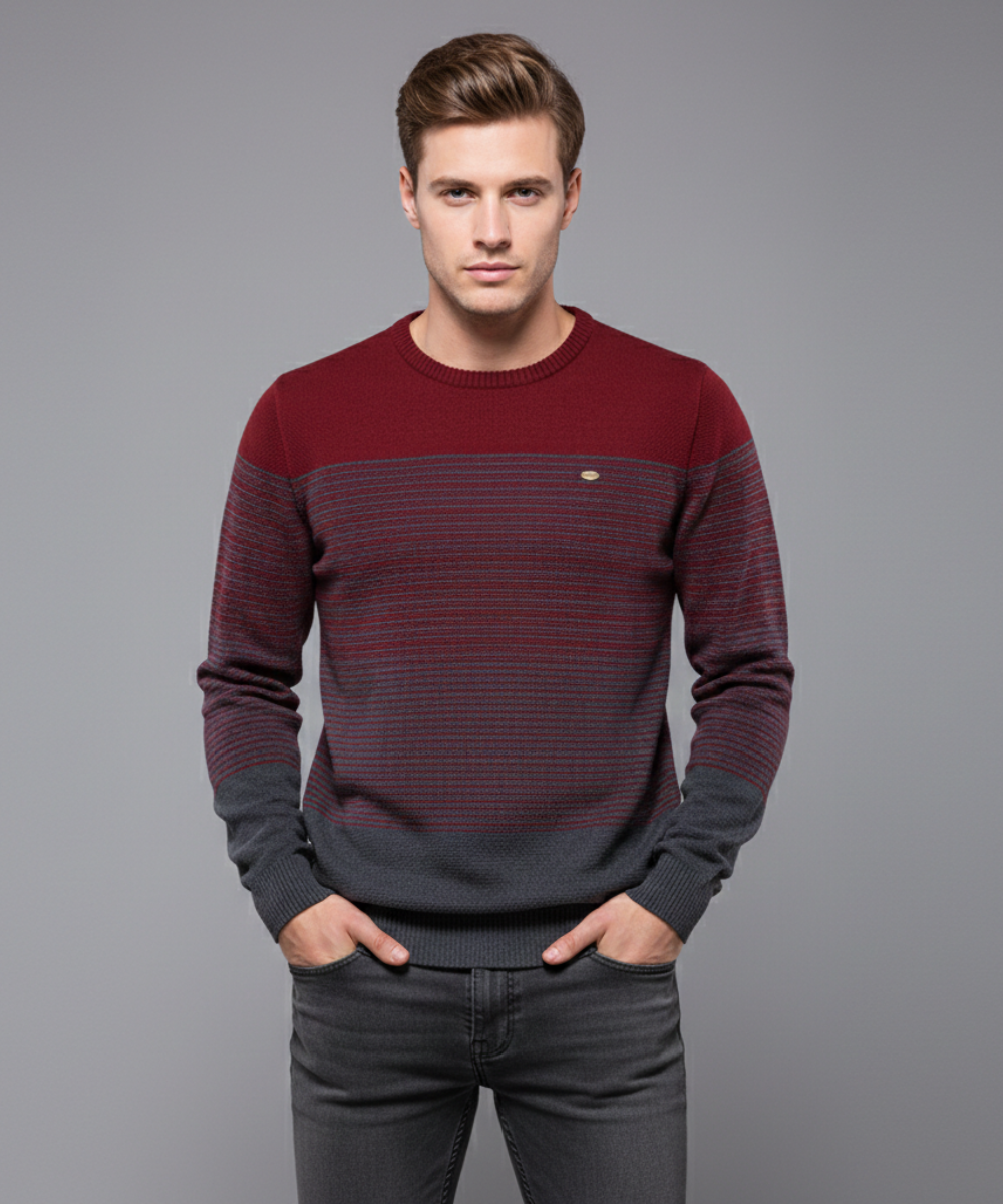 Avora Lyon | Pull moderne pour homme