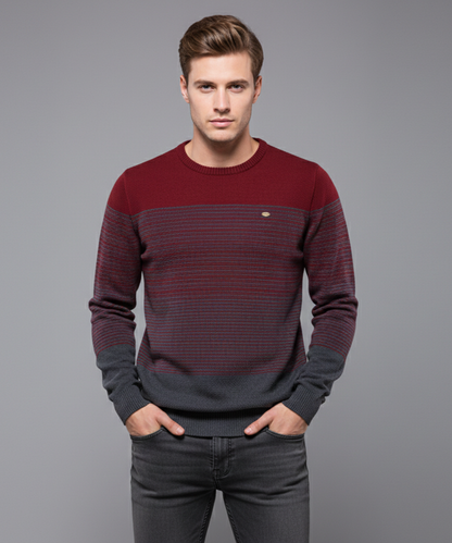 Avora Lyon | Pull moderne pour homme
