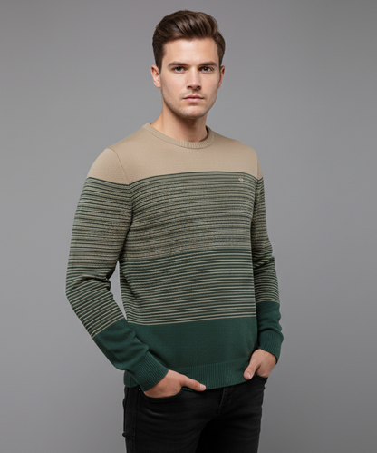 Avora Lyon | Pull moderne pour homme