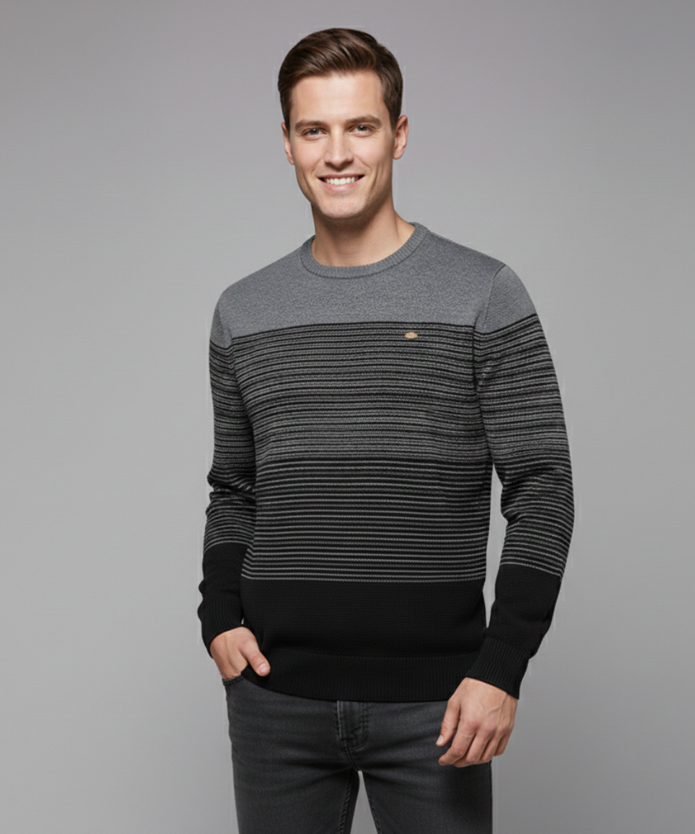Avora Lyon | Pull moderne pour homme