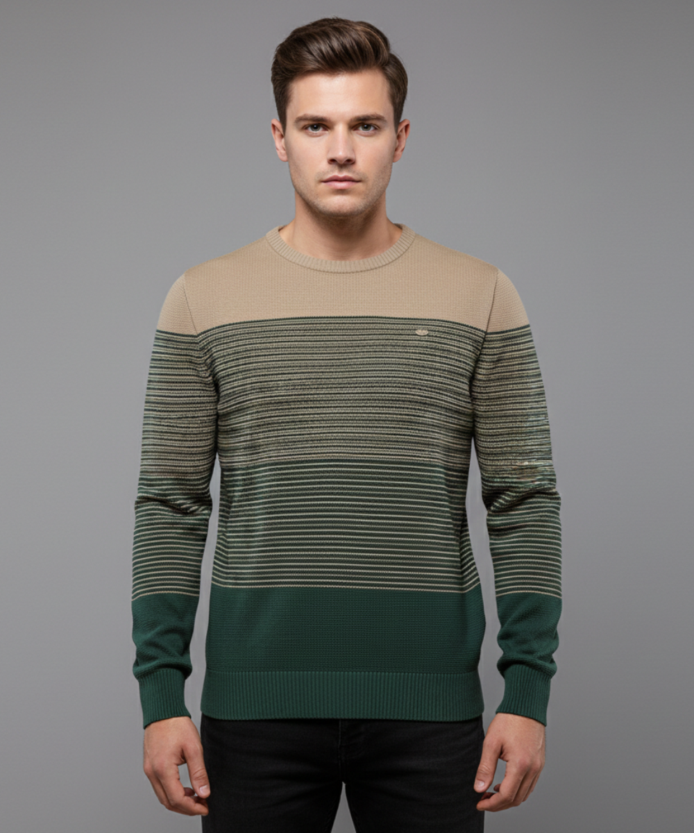 Avora Lyon | Pull moderne pour homme