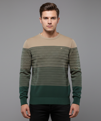 Avora Lyon | Pull moderne pour homme