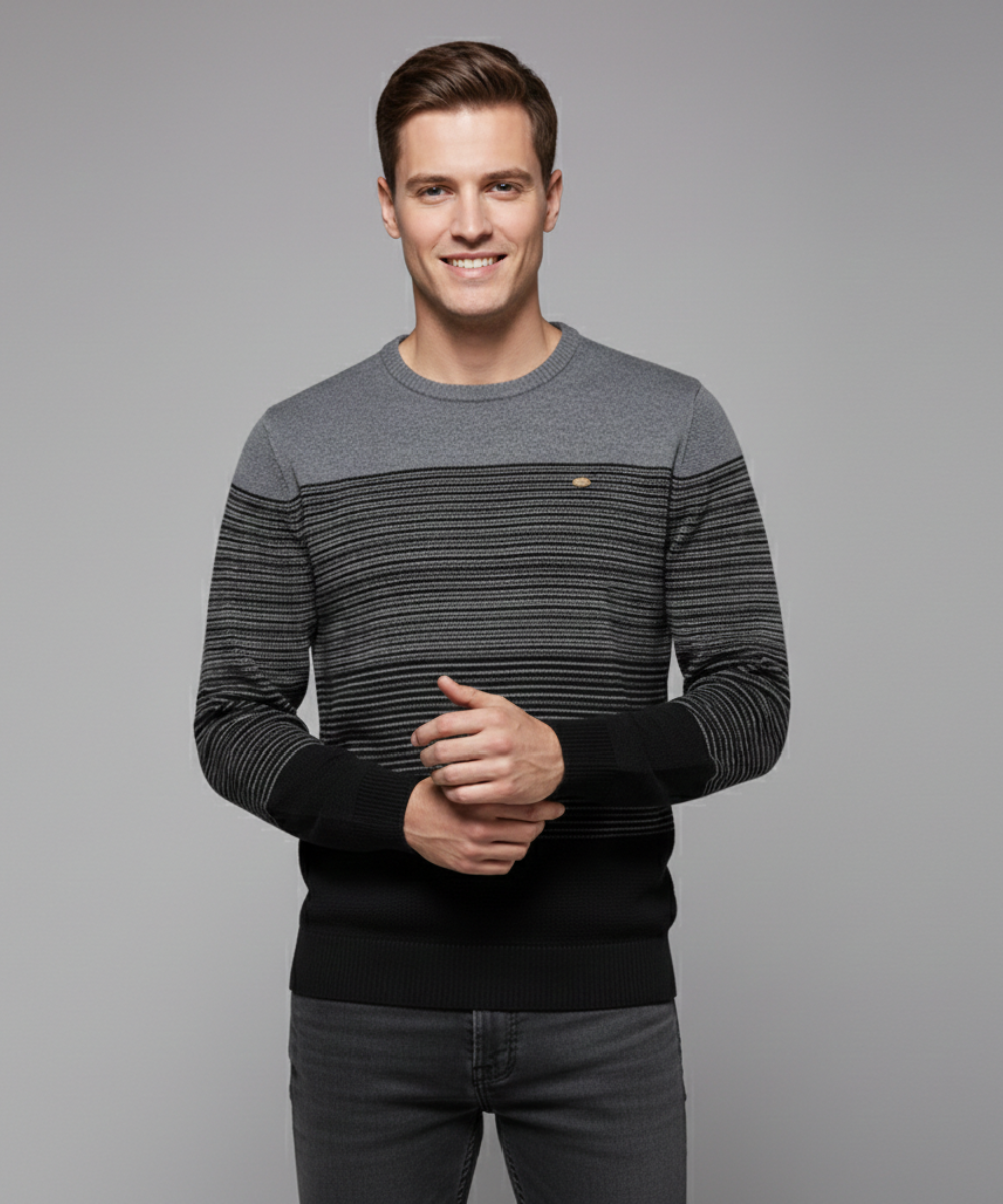 Avora Lyon | Pull moderne pour homme