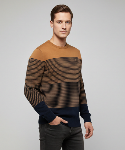 Avora Lyon | Pull moderne pour homme