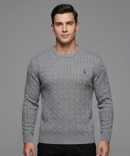 Avora Lyon | Pull pour homme au design unique