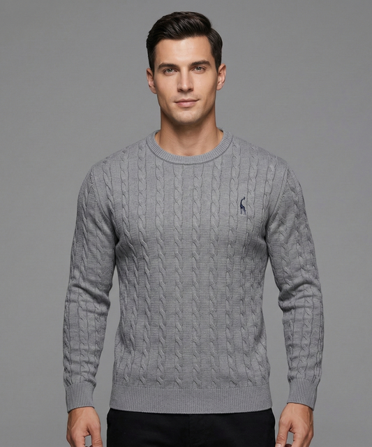 Avora Lyon | Pull pour homme au design unique