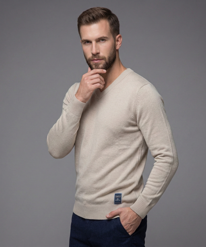 Avora Lyon | Pull tendance pour homme à col en V