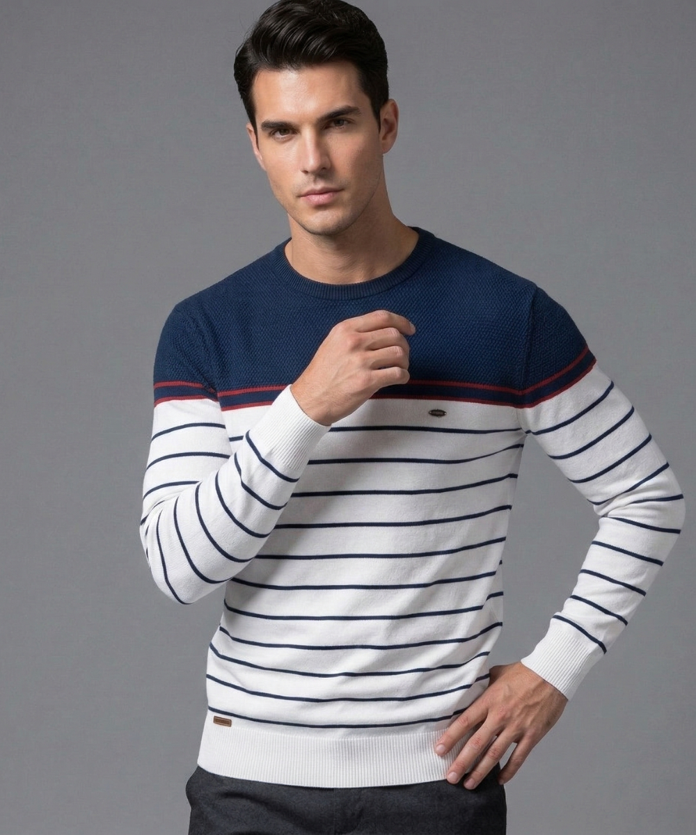 Avora Lyon | Pull rayé pour homme